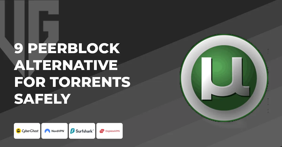 9 PeerBlock Alternative For Torrenting Safely