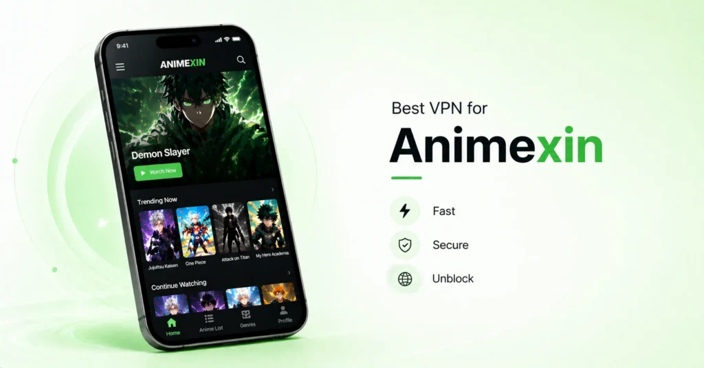 Best VPN for Animexin