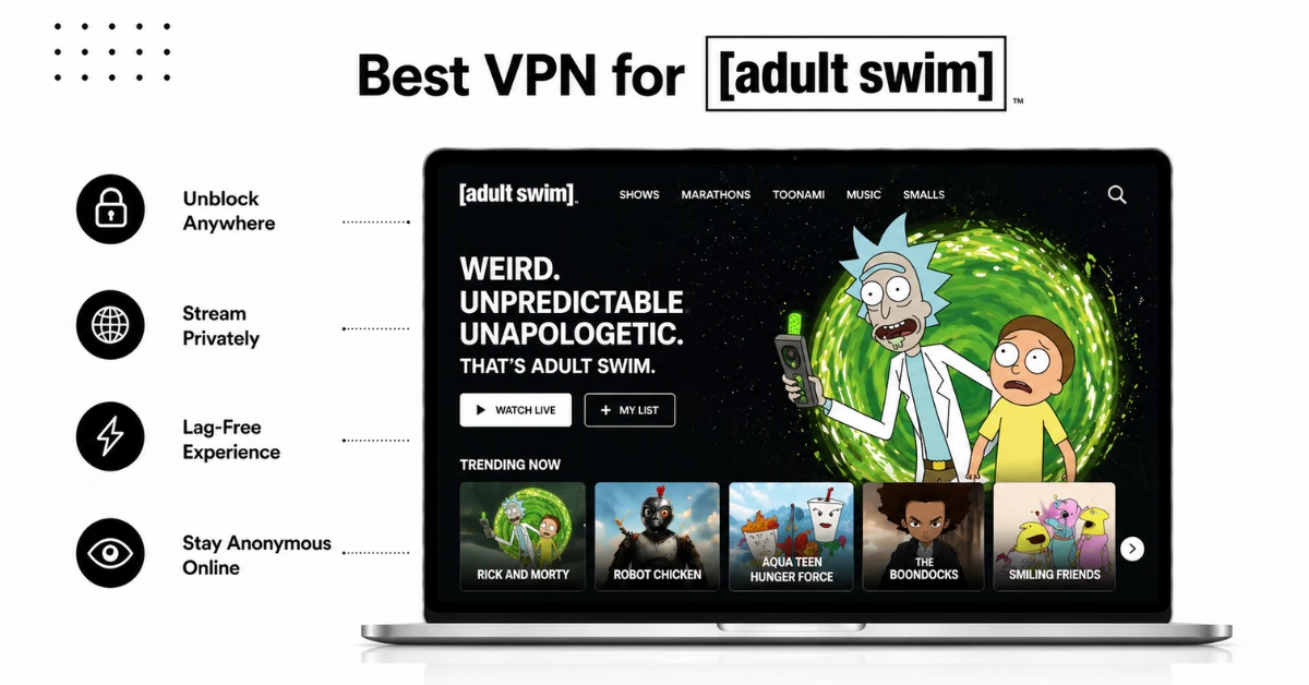 Best VPN for Adult Swim